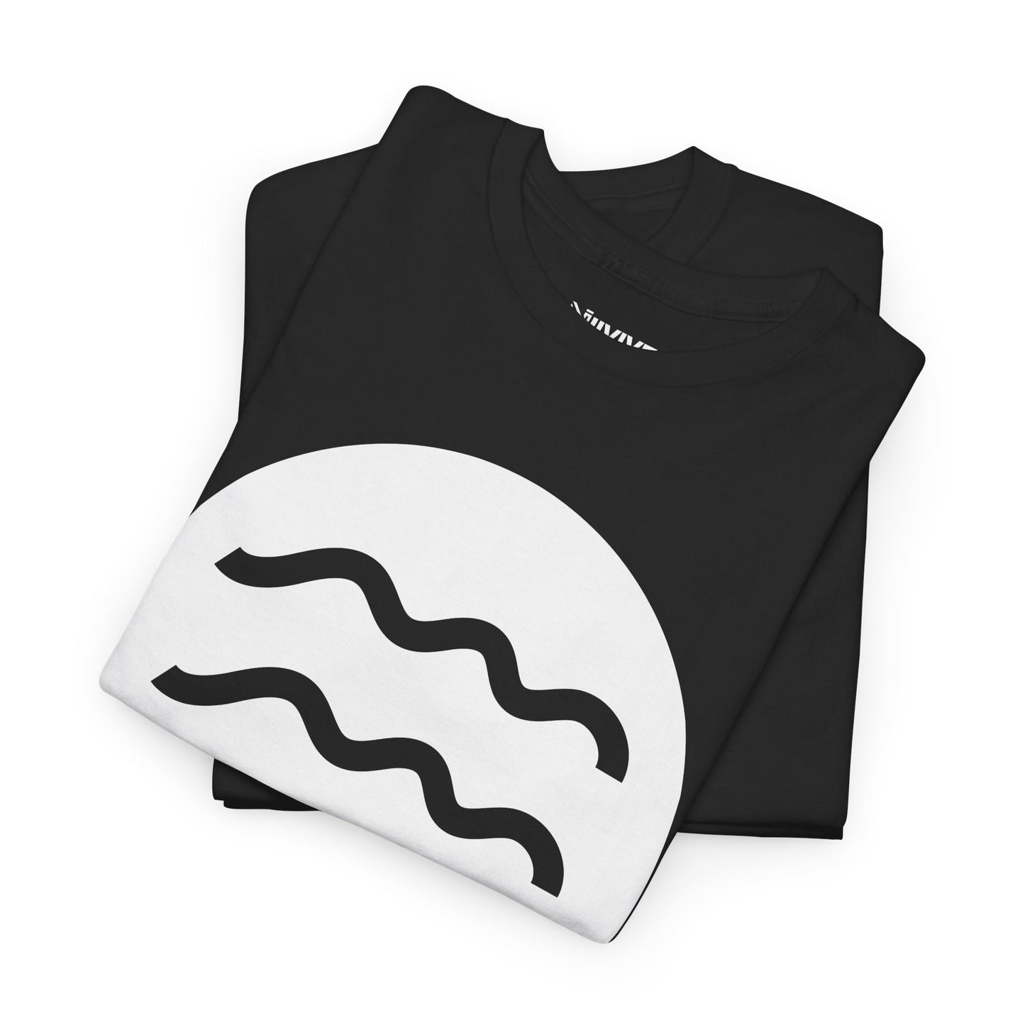 Aquarius White Zodiac Sign