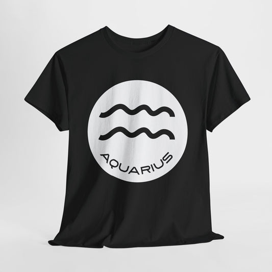 Aquarius White Zodiac Sign
